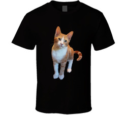 Kh Cat Picture T Shirt Kh Cat Picture T Shirt