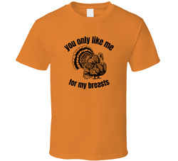 You Only Like Me For My Breasts Thanksgiving Funny T Shirt