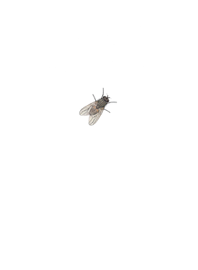 https://s3.us-west-1.wasabisys.com/ecart-content/boredshirtless.com/overlays/343/685/34368553.png img