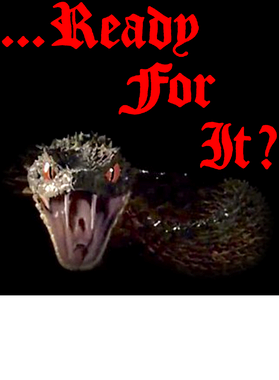 https://s3.us-west-1.wasabisys.com/ecart-content/boredshirtless.com/overlays/344/626/34462684.png img