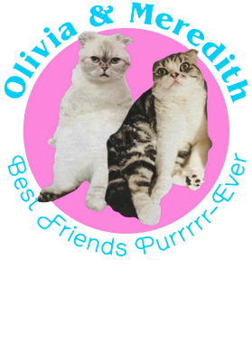 https://s3.us-west-1.wasabisys.com/ecart-content/boredshirtless.com/overlays/344/777/34477706.png img