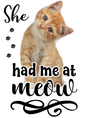 https://s3.us-west-1.wasabisys.com/ecart-content/boredshirtless.com/overlays/360/087/36008790.png img