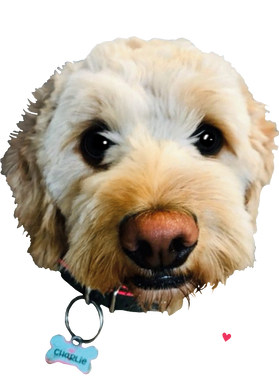 https://s3.us-west-1.wasabisys.com/ecart-content/boredshirtless.com/overlays/363/866/36386654.png img