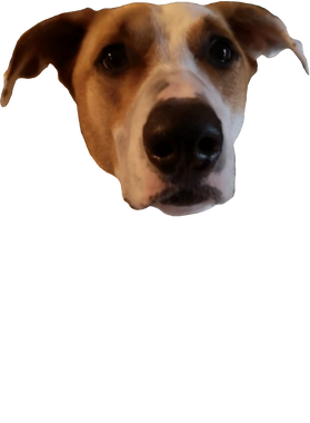 https://s3.us-west-1.wasabisys.com/ecart-content/boredshirtless.com/overlays/365/251/36525102.png img