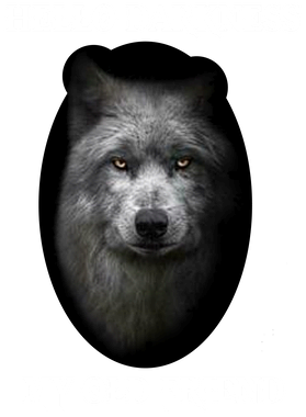 https://s3.us-west-1.wasabisys.com/ecart-content/boredshirtless.com/overlays/371/528/37152889.png img