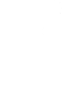 https://s3.us-west-1.wasabisys.com/ecart-content/boredshirtless.com/overlays/385/080/38508008.png img