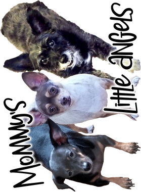 https://s3.us-west-1.wasabisys.com/ecart-content/boredshirtless.com/overlays/389/186/38918656.png img