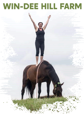 https://s3.us-west-1.wasabisys.com/ecart-content/boredshirtless.com/overlays/394/713/39471335.png img