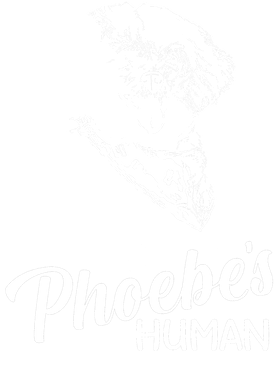 https://s3.us-west-1.wasabisys.com/ecart-content/boredshirtless.com/overlays/396/185/39618592.png img