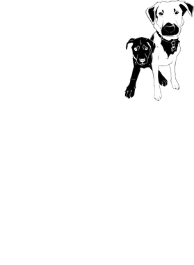 https://s3.us-west-1.wasabisys.com/ecart-content/boredshirtless.com/overlays/397/266/39726647.png img
