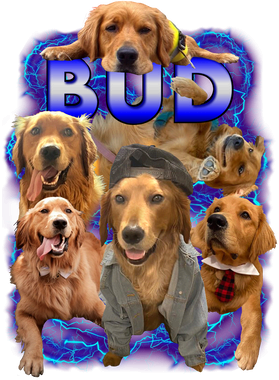 https://s3.us-west-1.wasabisys.com/ecart-content/boredshirtless.com/overlays/400/053/40005365.png img