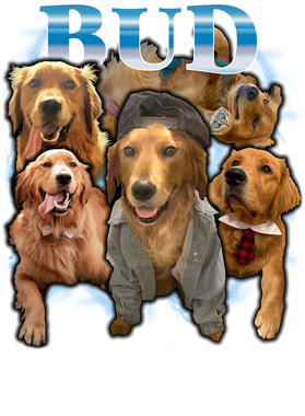 https://s3.us-west-1.wasabisys.com/ecart-content/boredshirtless.com/overlays/400/060/40006063.png img