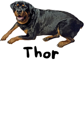 https://s3.us-west-1.wasabisys.com/ecart-content/boredshirtless.com/overlays/403/644/40364448.png img