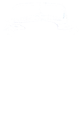 https://s3.us-west-1.wasabisys.com/ecart-content/cargeektees.com/overlays/111/173/11117331.png img