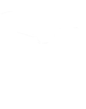 https://s3.us-west-1.wasabisys.com/ecart-content/cargeektees.com/overlays/113/594/11359488.png img
