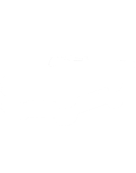 https://s3.us-west-1.wasabisys.com/ecart-content/cargeektees.com/overlays/114/811/1148114.png img