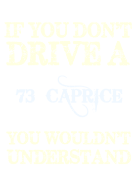 https://s3.us-west-1.wasabisys.com/ecart-content/cargeektees.com/overlays/115/534/1155342.png img
