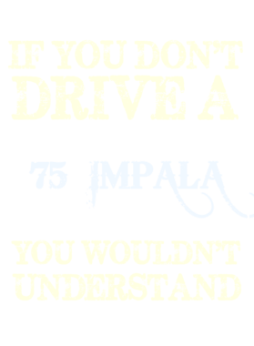 https://s3.us-west-1.wasabisys.com/ecart-content/cargeektees.com/overlays/115/542/1155425.png img