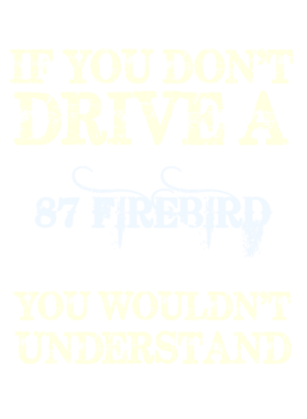 https://s3.us-west-1.wasabisys.com/ecart-content/cargeektees.com/overlays/115/573/1155735.png img