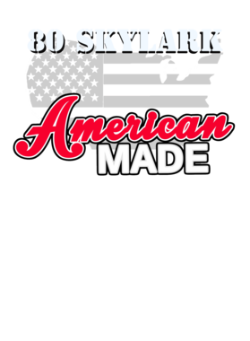 https://s3.us-west-1.wasabisys.com/ecart-content/cargeektees.com/overlays/115/952/1159529.png img