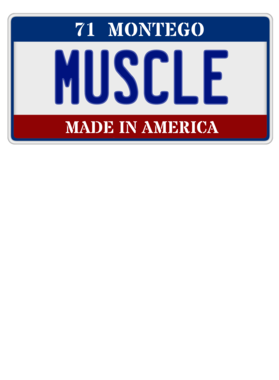https://s3.us-west-1.wasabisys.com/ecart-content/cargeektees.com/overlays/116/181/1161811.png img