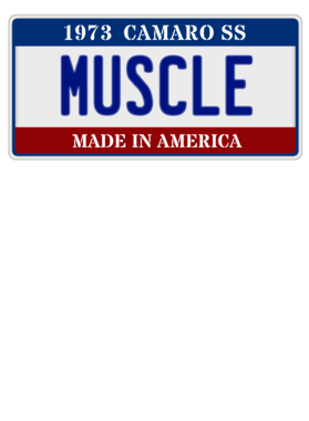https://s3.us-west-1.wasabisys.com/ecart-content/cargeektees.com/overlays/116/185/1161856.png img