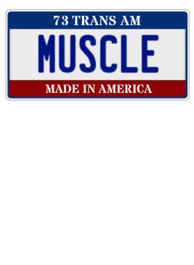 https://s3.us-west-1.wasabisys.com/ecart-content/cargeektees.com/overlays/116/187/1161879.png img