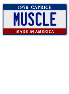 https://s3.us-west-1.wasabisys.com/ecart-content/cargeektees.com/overlays/116/191/1161913.png img