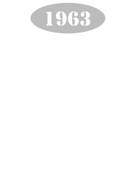 https://s3.us-west-1.wasabisys.com/ecart-content/cargeektees.com/overlays/117/220/1172205.png img
