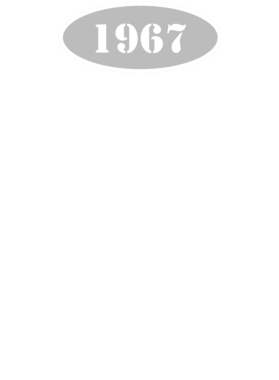 https://s3.us-west-1.wasabisys.com/ecart-content/cargeektees.com/overlays/117/234/1172341.png img