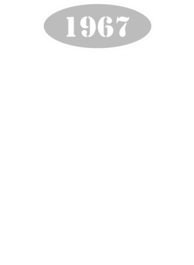 https://s3.us-west-1.wasabisys.com/ecart-content/cargeektees.com/overlays/117/234/1172343.png img