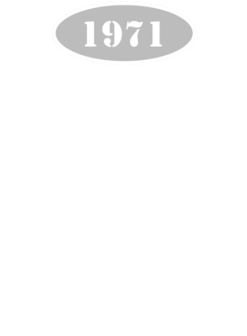 https://s3.us-west-1.wasabisys.com/ecart-content/cargeektees.com/overlays/117/257/1172571.png img
