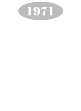 https://s3.us-west-1.wasabisys.com/ecart-content/cargeektees.com/overlays/117/257/1172572.png img