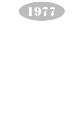 https://s3.us-west-1.wasabisys.com/ecart-content/cargeektees.com/overlays/117/281/1172813.png img