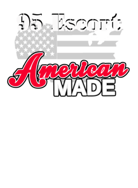 https://s3.us-west-1.wasabisys.com/ecart-content/cargeektees.com/overlays/118/454/1184549.png img