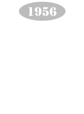 https://s3.us-west-1.wasabisys.com/ecart-content/cargeektees.com/overlays/118/514/1185142.png img