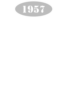 https://s3.us-west-1.wasabisys.com/ecart-content/cargeektees.com/overlays/118/515/1185153.png img