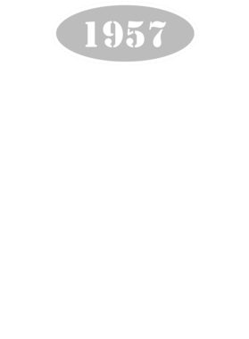 https://s3.us-west-1.wasabisys.com/ecart-content/cargeektees.com/overlays/118/515/1185154.png img