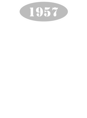 https://s3.us-west-1.wasabisys.com/ecart-content/cargeektees.com/overlays/118/516/1185162.png img