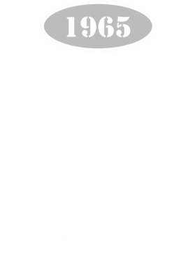 https://s3.us-west-1.wasabisys.com/ecart-content/cargeektees.com/overlays/118/524/1185247.png img