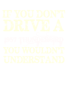 https://s3.us-west-1.wasabisys.com/ecart-content/cargeektees.com/overlays/118/617/1186175.png img