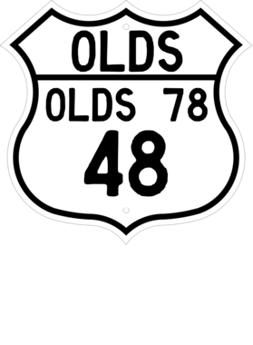 https://s3.us-west-1.wasabisys.com/ecart-content/cargeektees.com/overlays/119/628/1196288.png img