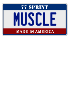 https://s3.us-west-1.wasabisys.com/ecart-content/cargeektees.com/overlays/120/942/1209422.png img