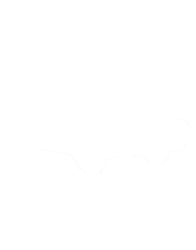 https://s3.us-west-1.wasabisys.com/ecart-content/cargeektees.com/overlays/122/553/1225532.png img