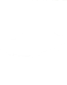 https://s3.us-west-1.wasabisys.com/ecart-content/cargeektees.com/overlays/122/572/1225728.png img