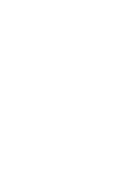 https://s3.us-west-1.wasabisys.com/ecart-content/cargeektees.com/overlays/122/573/1225737.png img