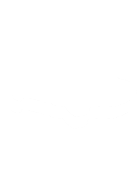 https://s3.us-west-1.wasabisys.com/ecart-content/cargeektees.com/overlays/122/575/1225758.png img