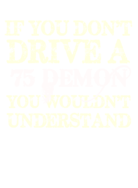 https://s3.us-west-1.wasabisys.com/ecart-content/cargeektees.com/overlays/123/503/1235033.png img