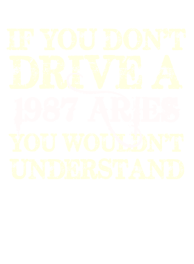 https://s3.us-west-1.wasabisys.com/ecart-content/cargeektees.com/overlays/123/512/1235122.png img