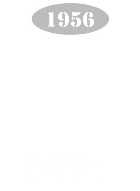 https://s3.us-west-1.wasabisys.com/ecart-content/cargeektees.com/overlays/123/540/1235409.png img